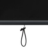 vidaXL Rolgordijn voor buiten 140x250 cm antraciet