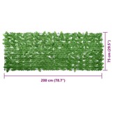 vidaXL Balkonscherm met groene bladeren 200x75 cm