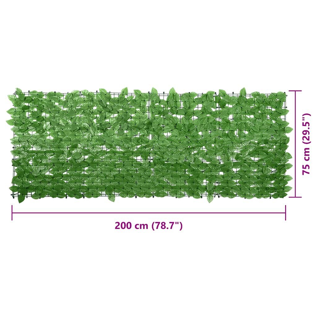 vidaXL Balkonscherm met groene bladeren 200x75 cm