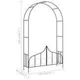 vidaXL Tuinboog met hek 138x40x238 cm ijzer zwart