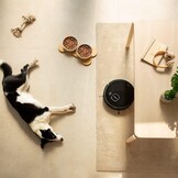 Cecotec Conga Eternal Laser Vital Robotstofzuiger en wastafel, 110 minuten looptijd, 2200 Pa, 3 standen, multifunctionele borstel, 10 modi, app, virtuele assistent Alexa - Maat Eternal Pet