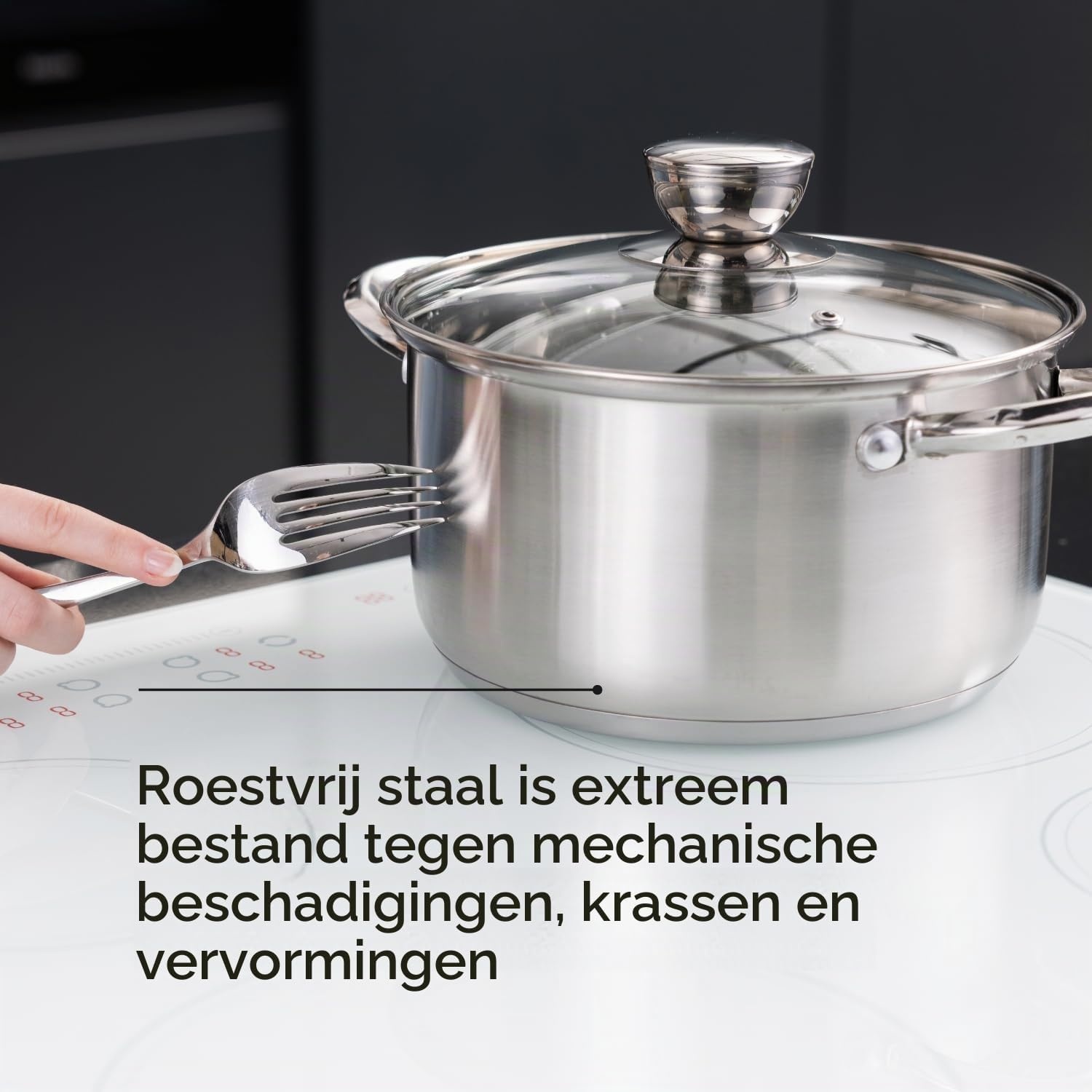 Braadpan 3.6L Roestvrijstaal (20 cm) - 31% Korting!