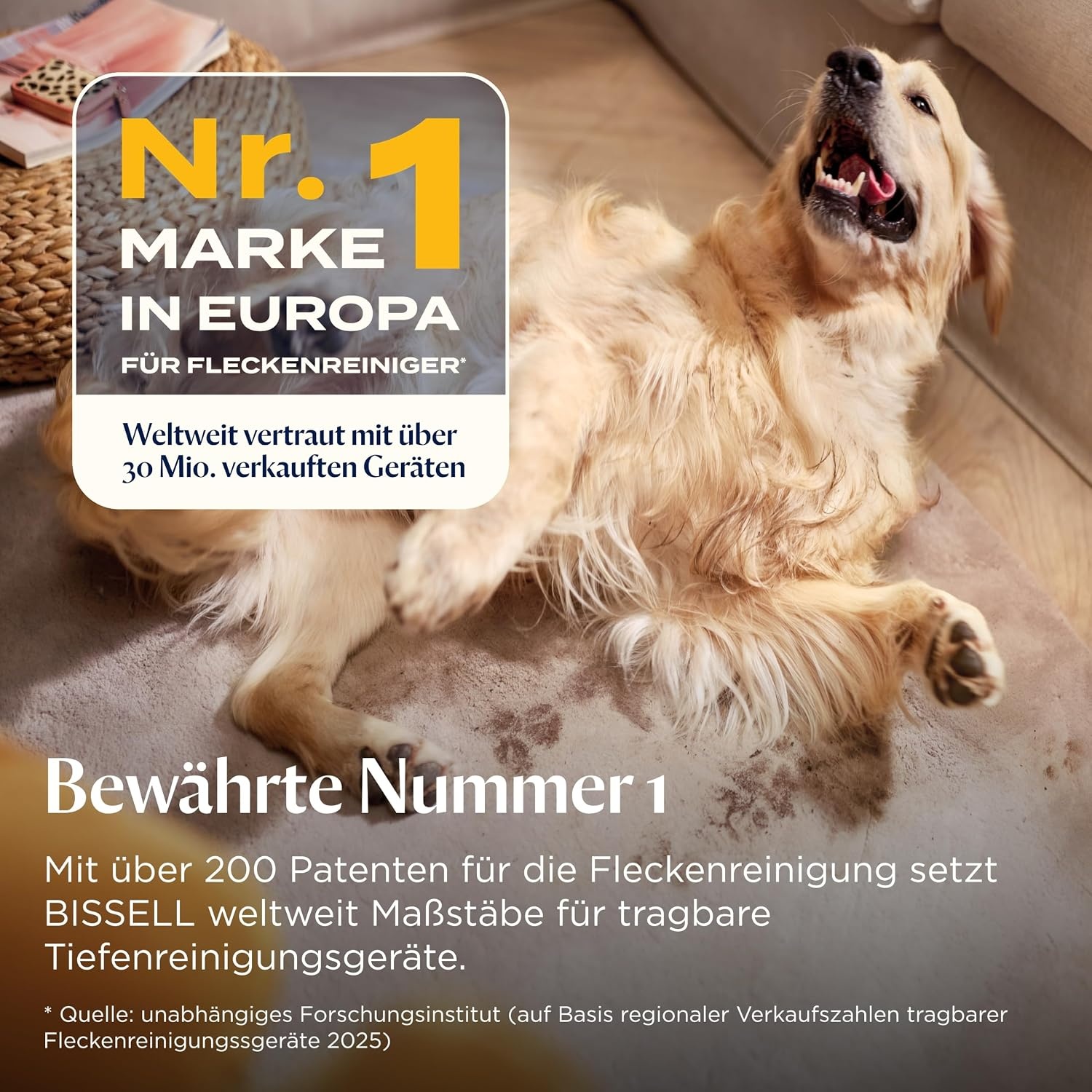 Vlekkenreiniger Tapijt & Meubels - 340W, 7800 Pa - Groen - 54% Korting