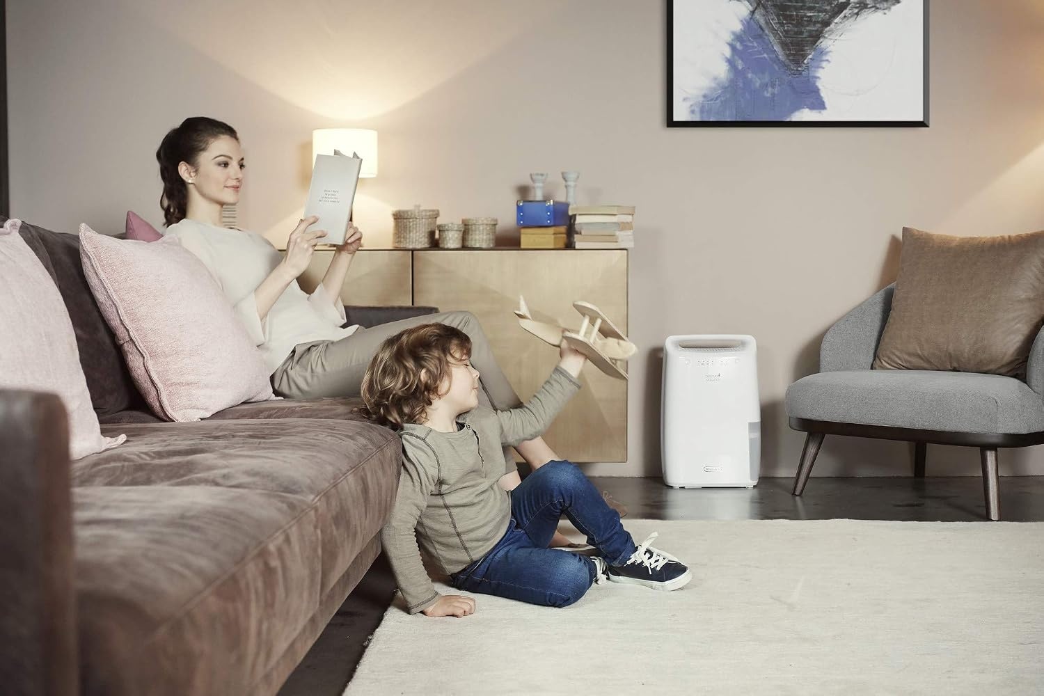 De'Longhi DEX210SF Luchtontvochtiger en Wasdroger - 10 Liter - Wit