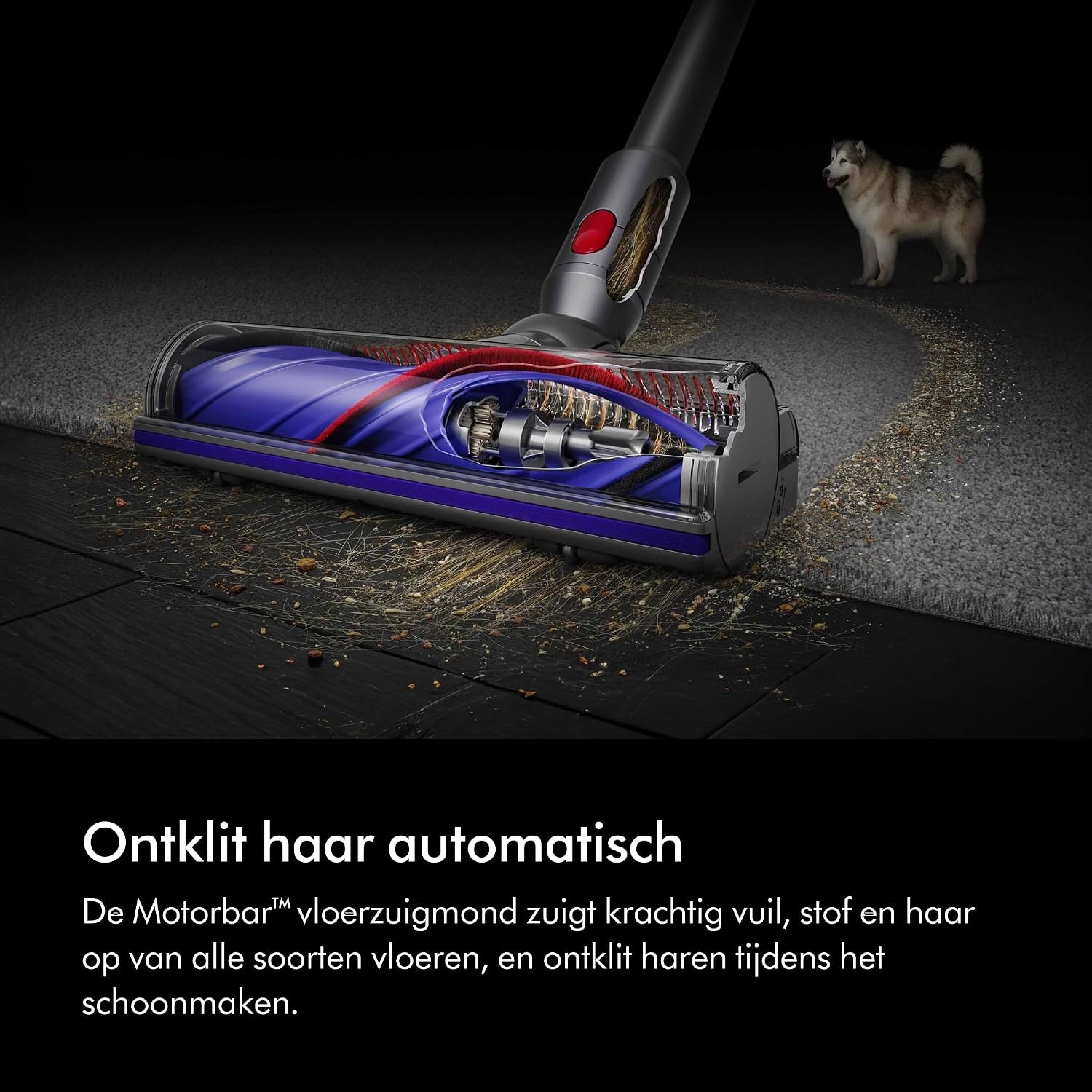 Dyson V8 Advanced draadloze steelstofzuiger (zilver/nikkel)