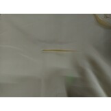 vidaXL Zonnescherm vierkant 7x7 m oxford stof crèmekleurig