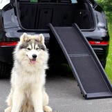 Hondenloopplank/Autoramp voor Honden, 156x40cm - 58% Korting