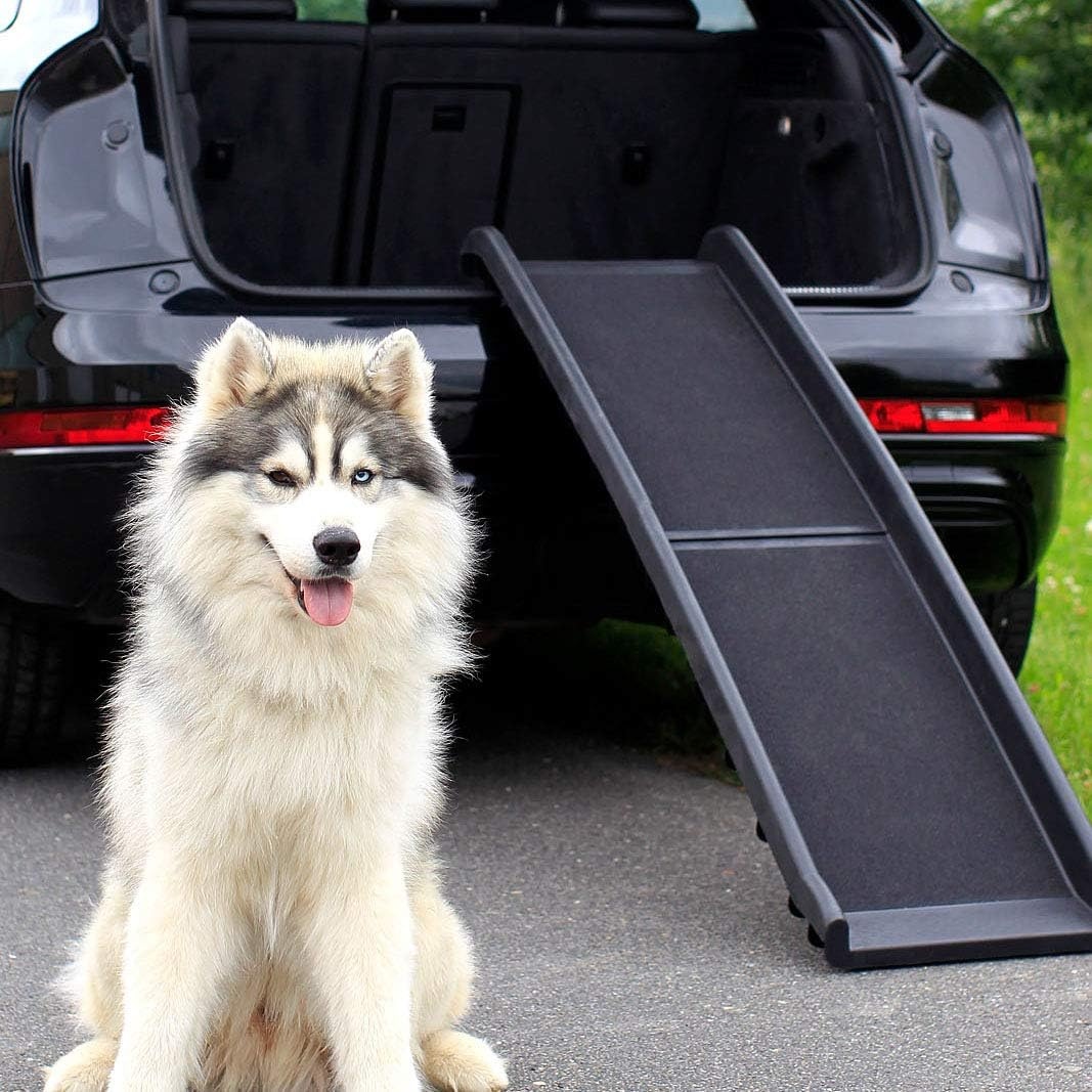 Hondenloopplank/Autoramp voor Honden, 156x40cm - 58% Korting