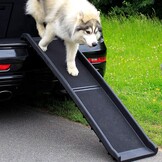 Hondenloopplank/Autoramp voor Honden, 156x40cm - 58% Korting