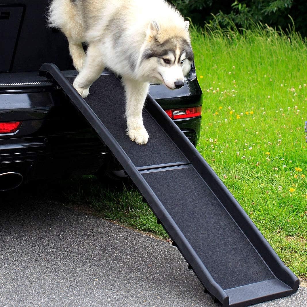 Hondenloopplank/Autoramp voor Honden, 156x40cm - 58% Korting