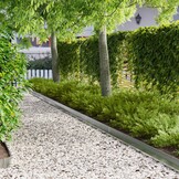 vidaXL Gazonrand Staal - 10 Stuks - Zilverkleurig - 54% Korting