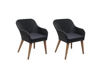vidaXL Tuinstoelen 2 st met kussens poly rattan zwart