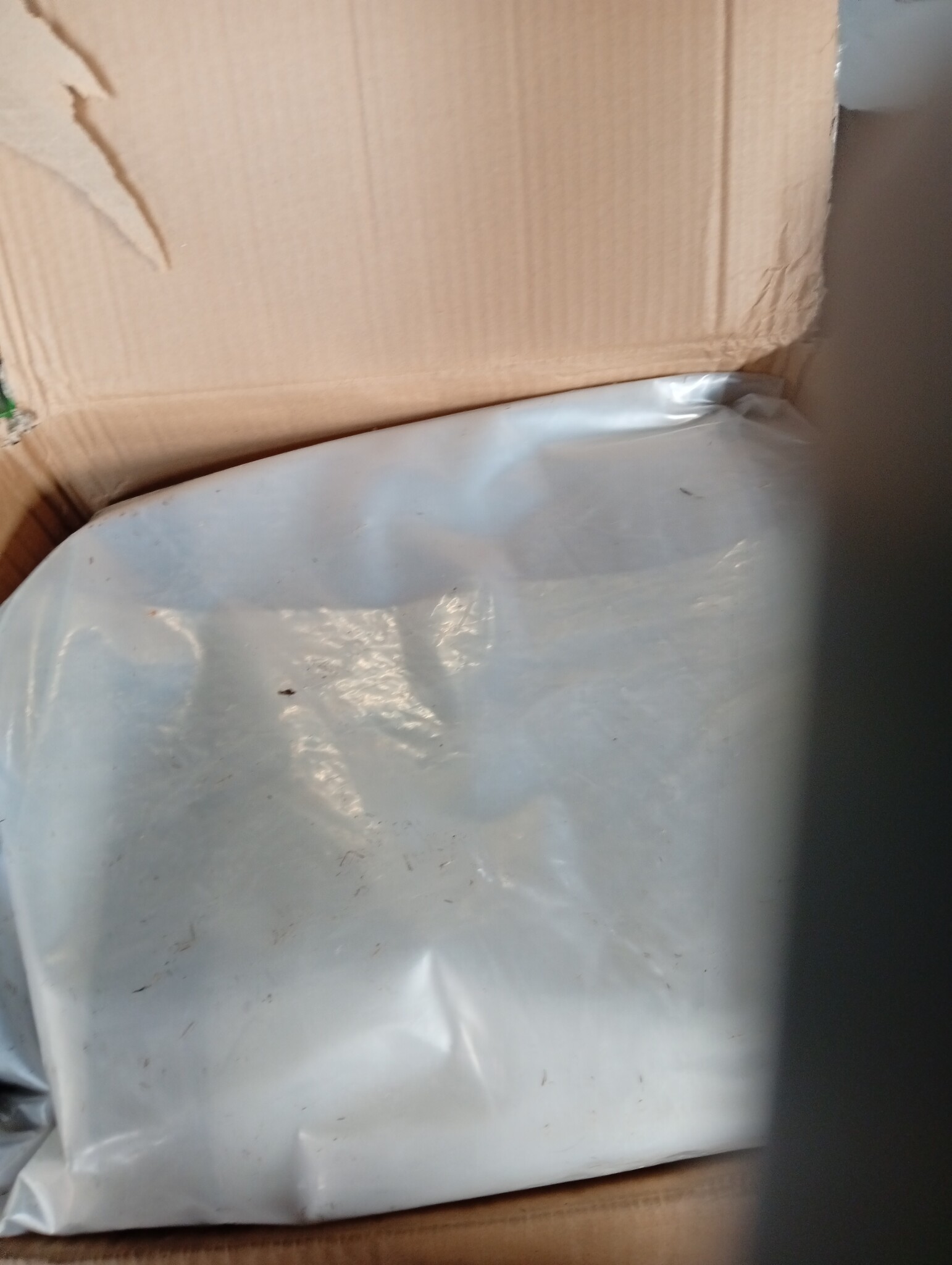vidaXL Zeildoek 140 gsm Doorzichtig 5 x 7 m PE