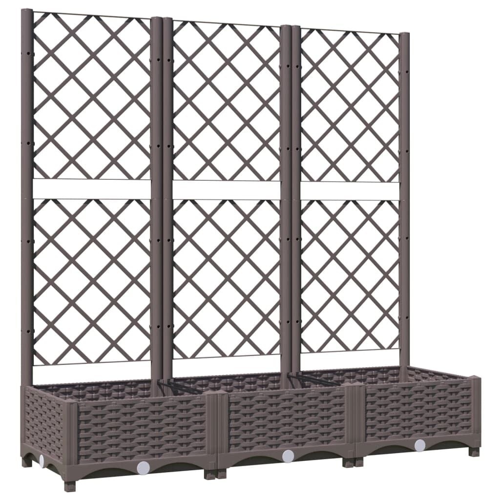 vidaXL Plantenbak met latwerk 120x40x121,5 cm polypropeen bruin