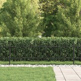 vidaXL Spike Boog Hek DRONTEN 200 x 60 cm Gepoedercoat staal Zwart