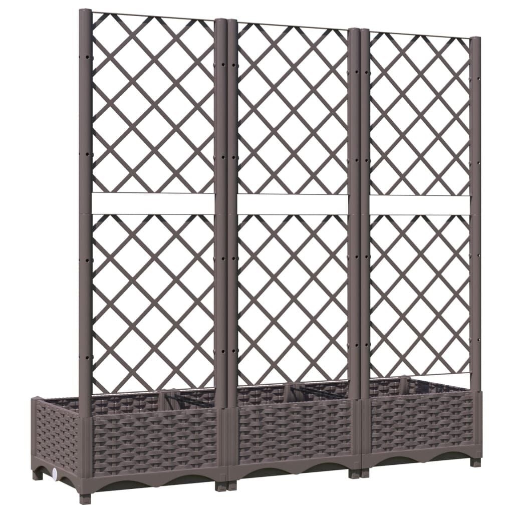 vidaXL Plantenbak met latwerk 120x40x121,5 cm polypropeen bruin