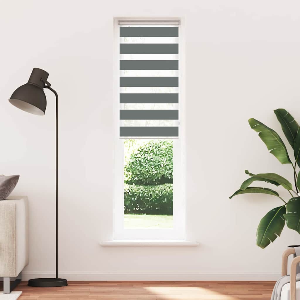 vidaXL Zebra rolgordijn 65x200 cm stofbreedte 60,9 cm donkergrijs