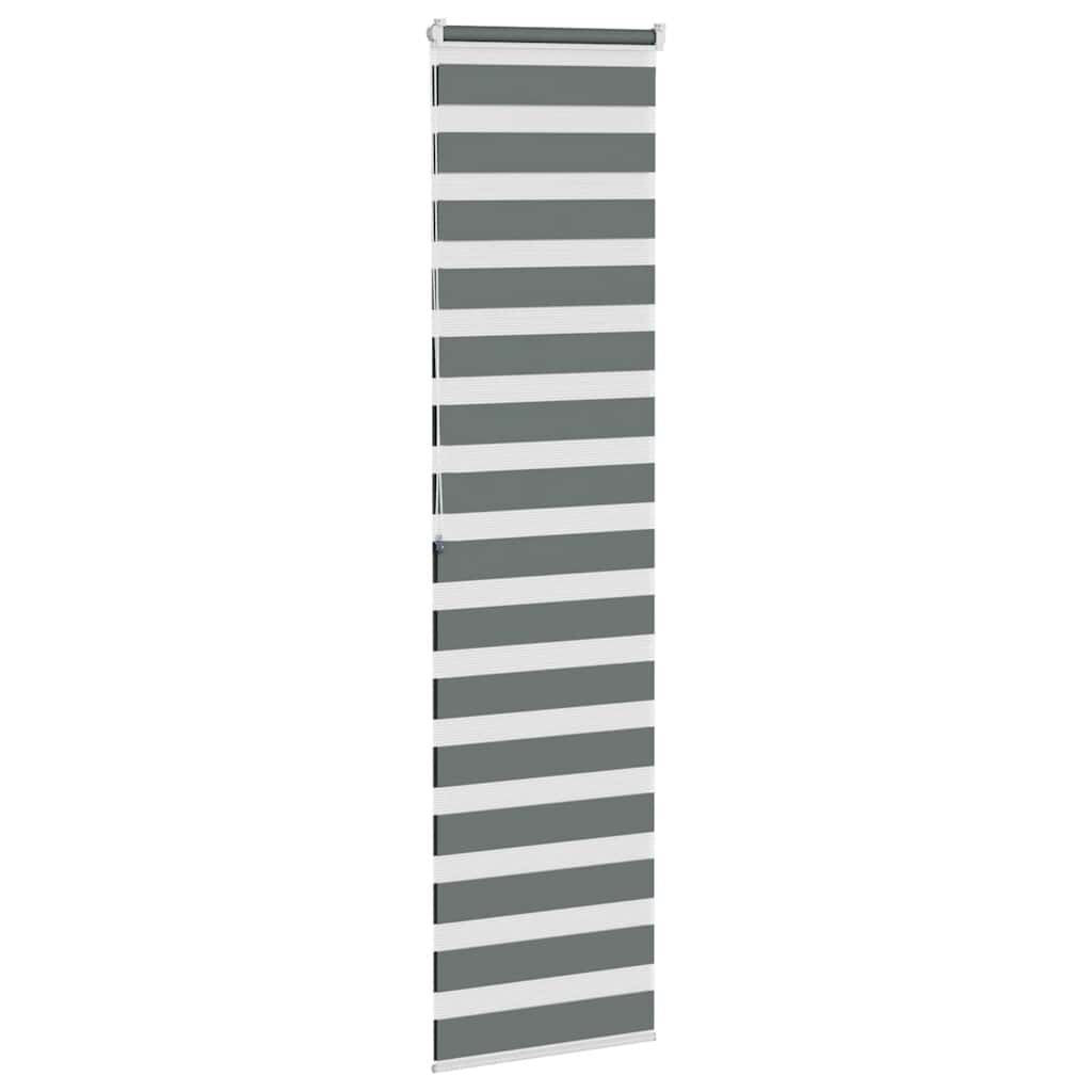 vidaXL Zebra rolgordijn 65x200 cm stofbreedte 60,9 cm donkergrijs