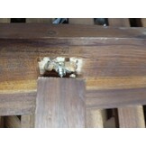 vidaXL Ligbed met kussen massief acaciahout