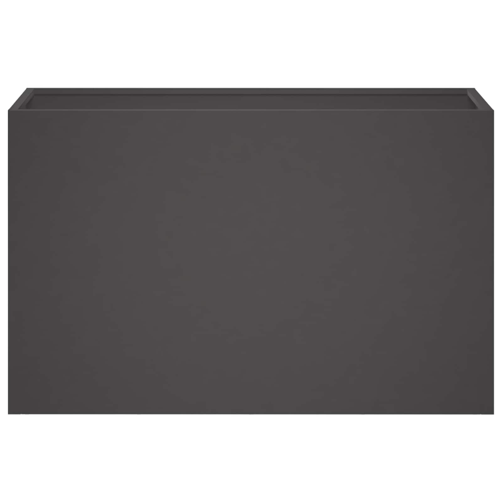 vidaXL Plantenbak 2 st Zwart 80 x 30 x 50 cm Koudgewalst staal