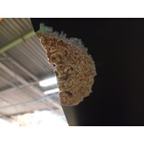 vidaXL Kledingkast Hout Zwart - 60% Korting