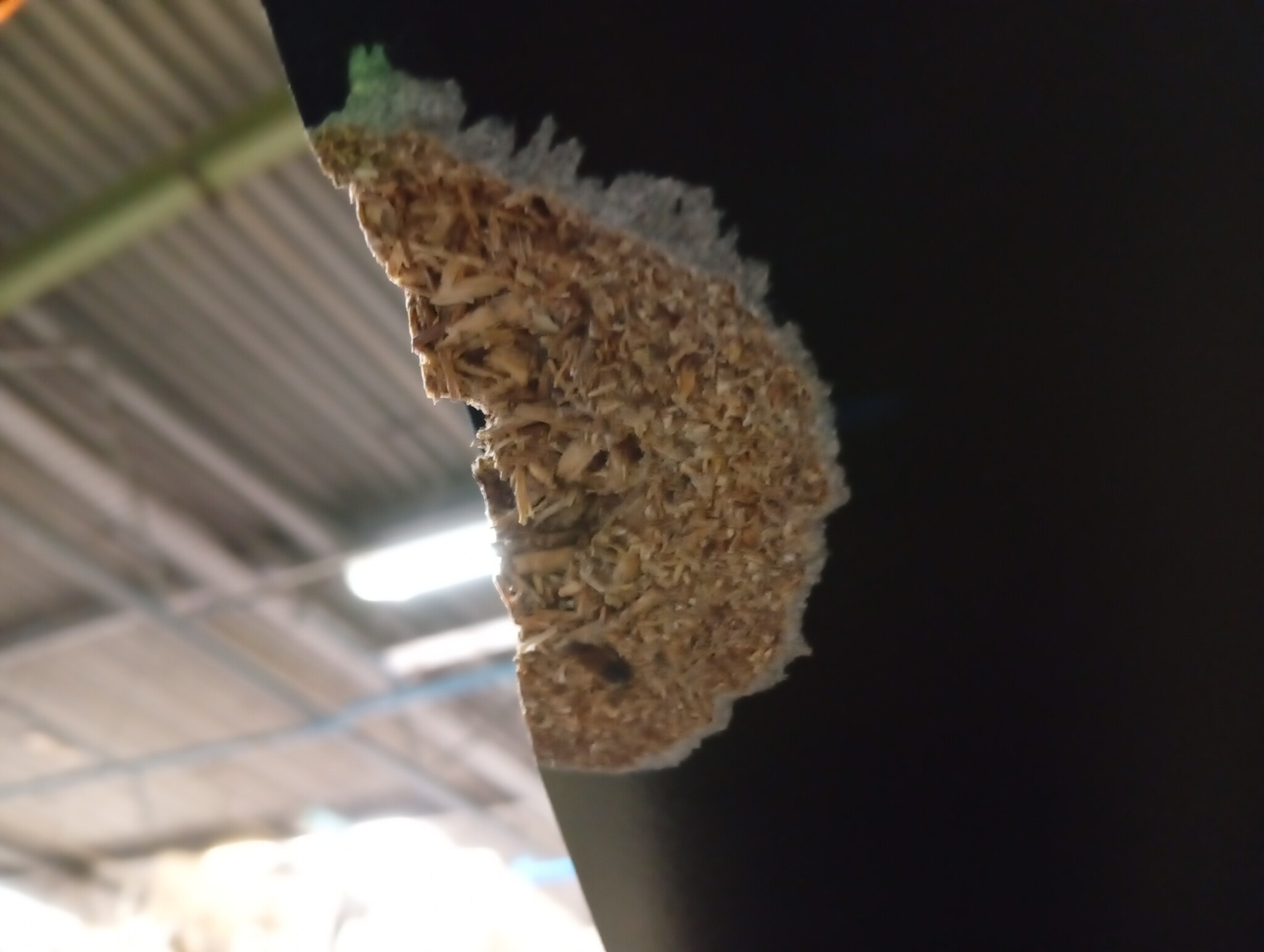 vidaXL Kledingkast Hout Zwart - 60% Korting