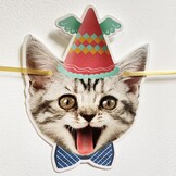 Katten Happy Birthday-banner, kattengezichtdecoratie, kattenverjaardagsslinger, kattenverjaardagsdecoratie, kroon, decoratie, katten, verjaardagsbanner voor kittenthema, verjaardagsfeestaccessoires
