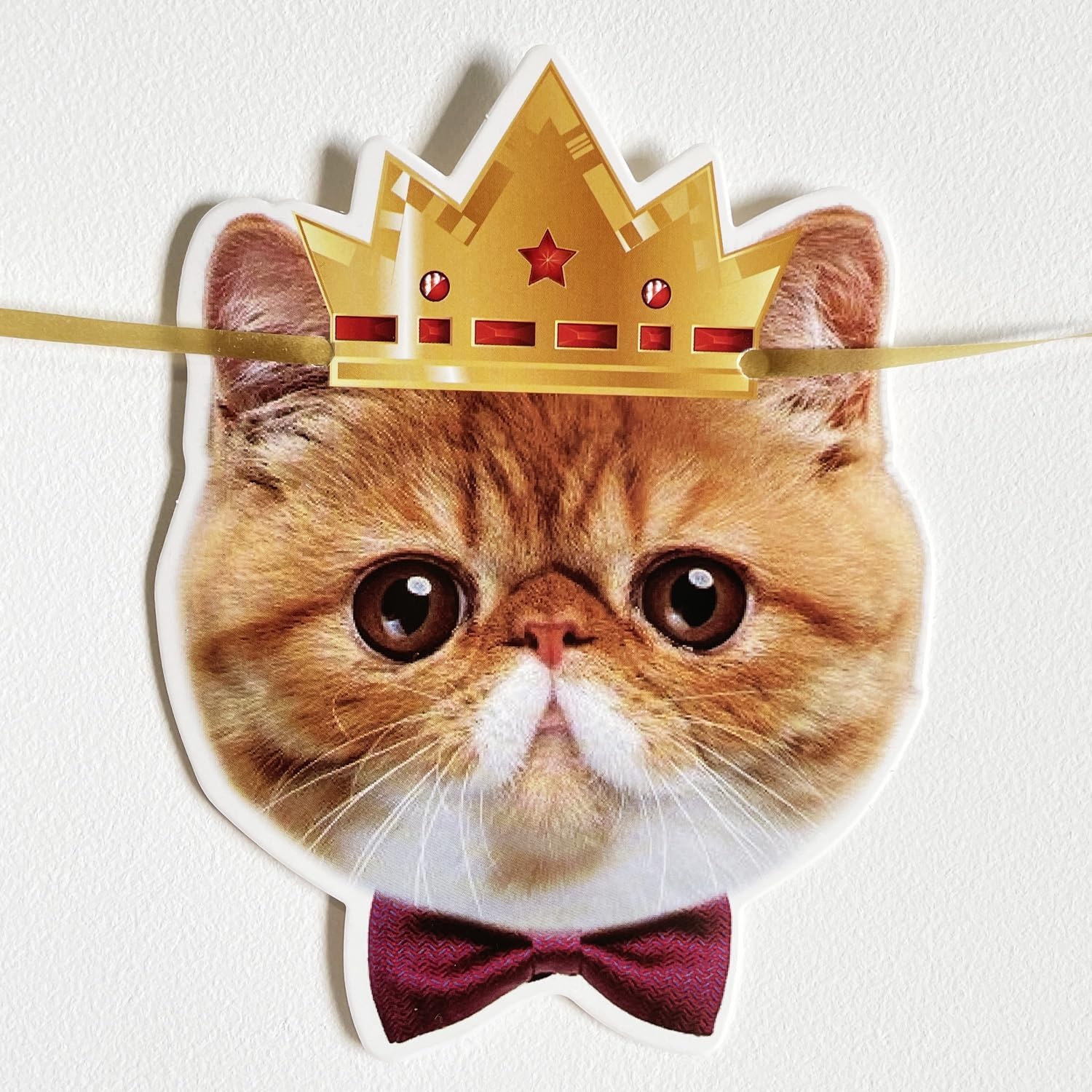 Katten Happy Birthday-banner, kattengezichtdecoratie, kattenverjaardagsslinger, kattenverjaardagsdecoratie, kroon, decoratie, katten, verjaardagsbanner voor kittenthema, verjaardagsfeestaccessoires