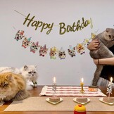 Katten Happy Birthday-banner, kattengezichtdecoratie, kattenverjaardagsslinger, kattenverjaardagsdecoratie, kroon, decoratie, katten, verjaardagsbanner voor kittenthema, verjaardagsfeestaccessoires