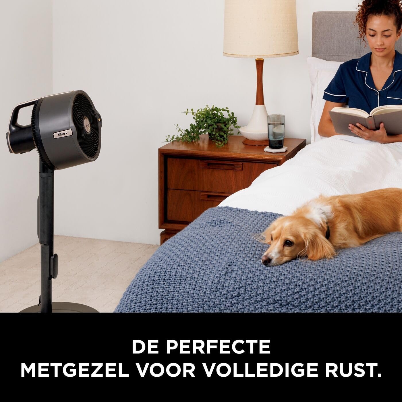 Shark FlexBreeze Pro Mist Snoerloze Binnen- & Buitenventilator, FA300EU