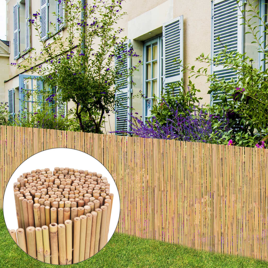 vidaXL Scherm 300x100 cm bamboe