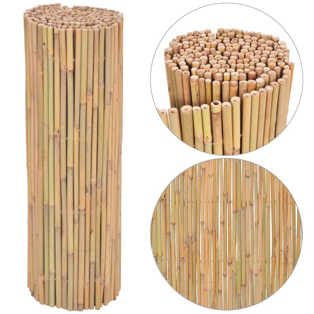 vidaXL Scherm 300x100 cm bamboe
