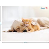 Bureauonderlegger Hond & Kat 53x40cm Antislip - Kinderkamer Korting!