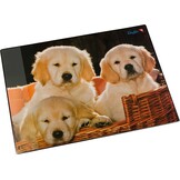 Bureauonderlegger Hond & Kat 53x40cm Antislip - Kinderkamer Korting!