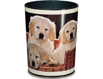 Läufer Prullenbak Hond Motief 13L Beige/Foto Multicolor 31% Korting