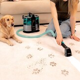 Cecotec Tapijt reiniger Conga 6000 Carpet&Spot Clean XL, 600 W, 14 kPa, 4 accessoires, reservoir voor schoon water 1500 ml en vuil 850 ml, actieradius 8 m, gemakkelijk te verwijderen