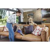 Black+Decker DVB315JP-QW handstofzuiger violet/titanium