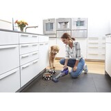 Black+Decker DVB315JP-QW handstofzuiger violet/titanium