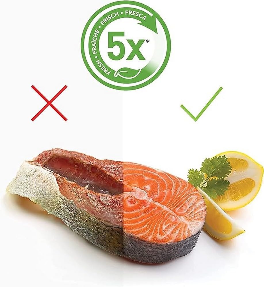 FoodSaver FFS005X Zwart groen L Vacuümmachine - 54% Korting
