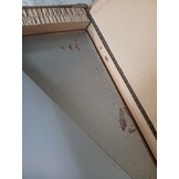 vidaXL Verhoogd Tuinbed weervast staal 200 x 40 x 40 cm