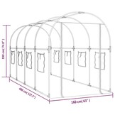 vidaXL Tuinkas 160x400x190 cm PVC en gepoedercoat staal transparant