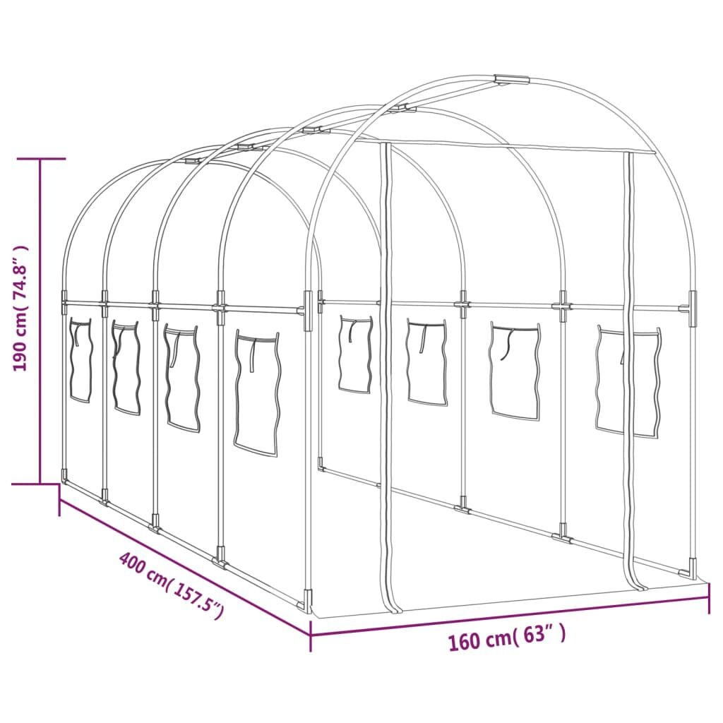 vidaXL Tuinkas 160x400x190 cm PVC en gepoedercoat staal transparant