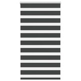 vidaXL Zebra rolgordijn 75x150 cm stofbreedte 70,9 cm zwart