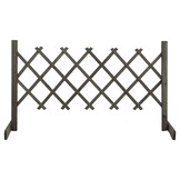 VidaXL Houten Tuinlatwerk 120x60cm - 32% Korting