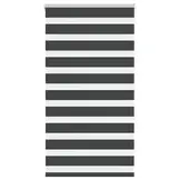 vidaXL Zebra rolgordijn 75x150 cm stofbreedte 70,9 cm zwart