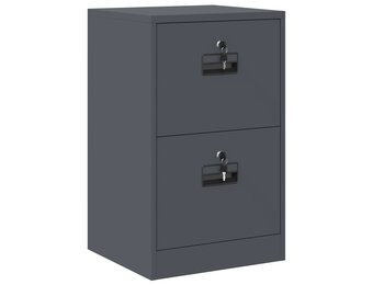 vidaXL Bestandenkast Antraciet 45,5 x 42 x 74,5 cm Koudgewalst Staal