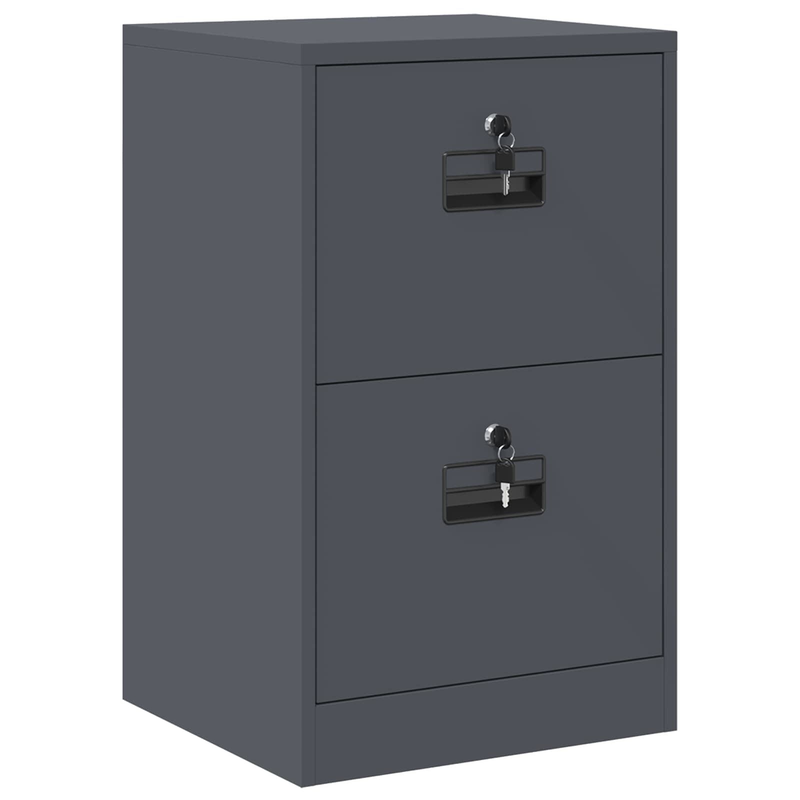 vidaXL Bestandenkast Antraciet 45,5 x 42 x 74,5 cm Koudgewalst Staal