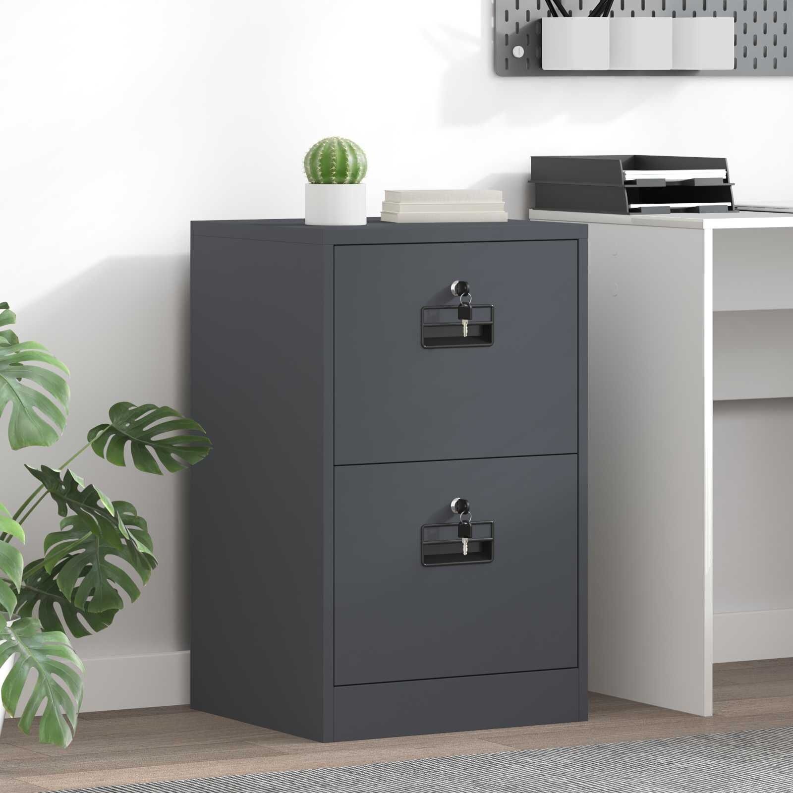 vidaXL Bestandenkast Antraciet 45,5 x 42 x 74,5 cm Koudgewalst Staal
