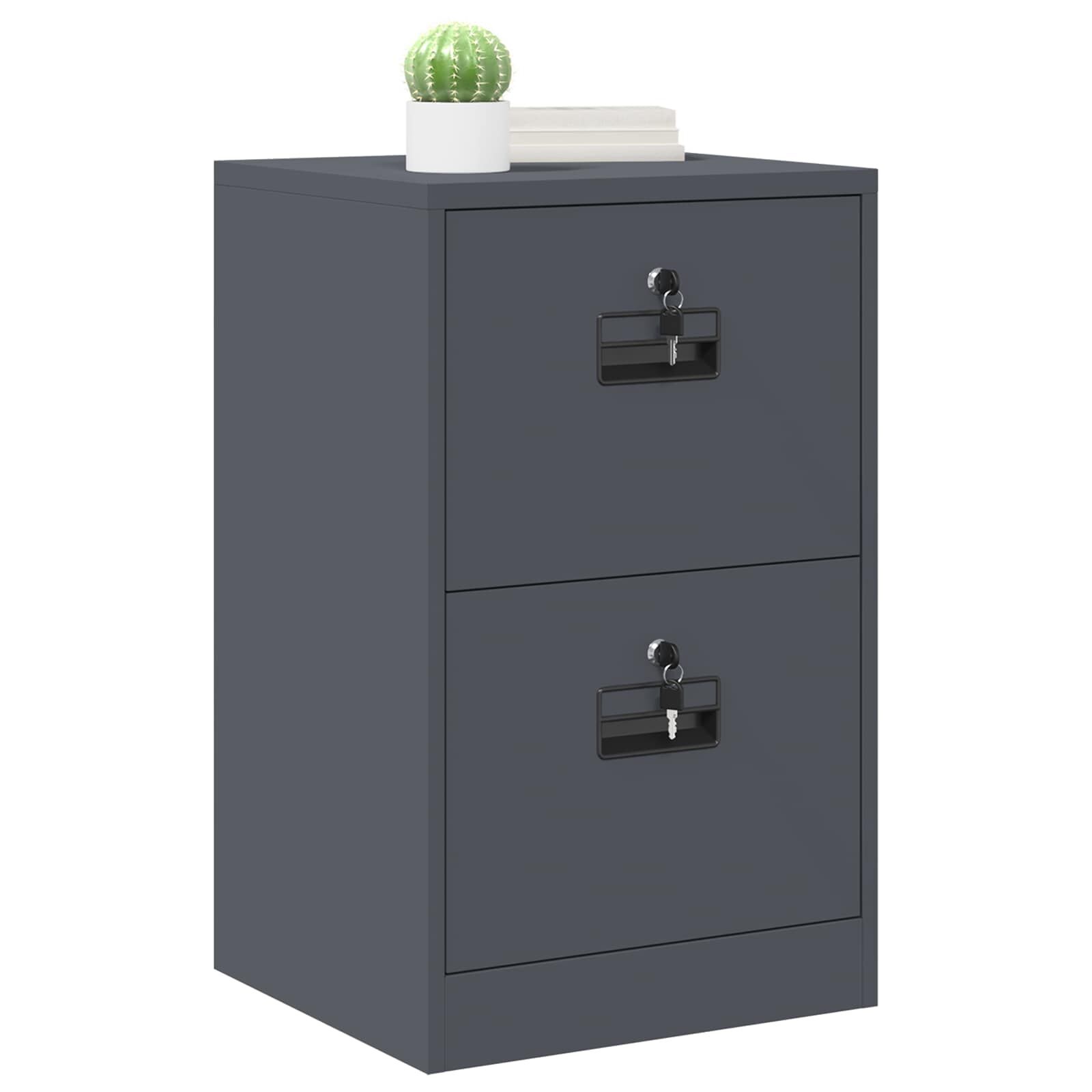 vidaXL Bestandenkast Antraciet 45,5 x 42 x 74,5 cm Koudgewalst Staal