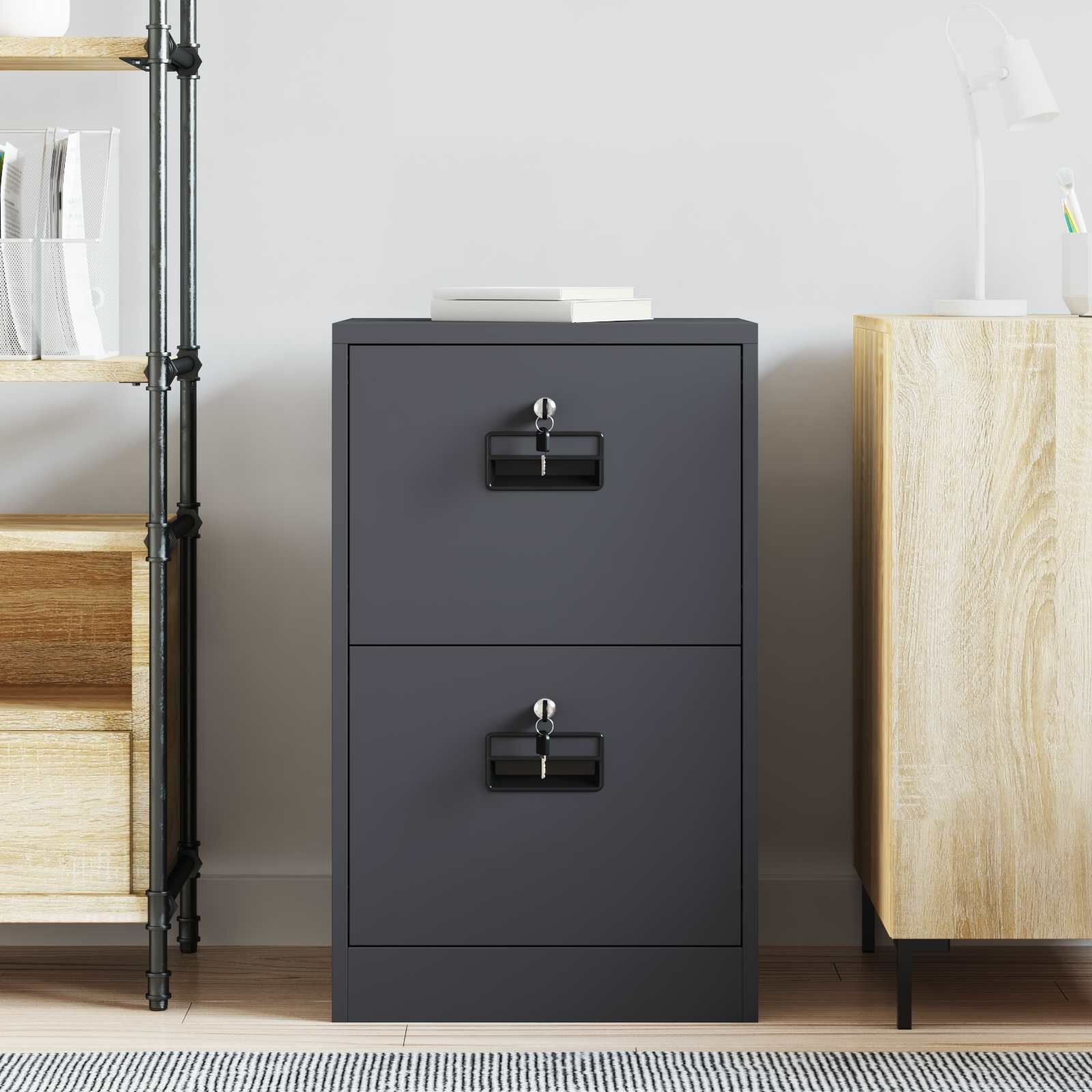 vidaXL Bestandenkast Antraciet 45,5 x 42 x 74,5 cm Koudgewalst Staal